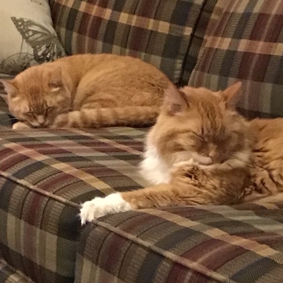 Meet the Posher Other - Meet your Posher, Kate